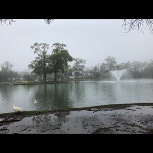 Meet your Posher, Iris